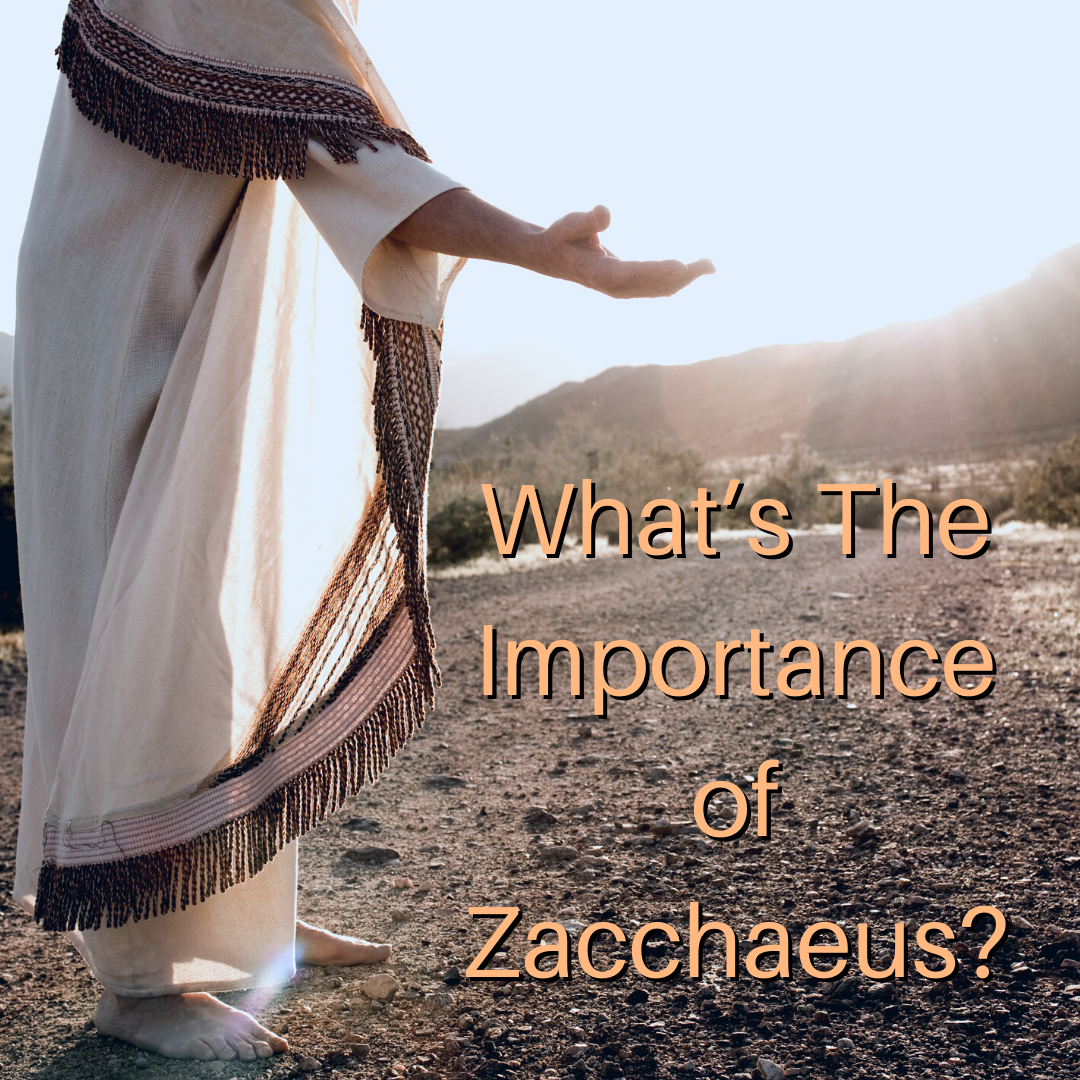 what-s-the-importance-of-zacchaeus-holdtohope
